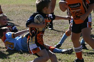 De La Salle Vs Yarrawarra Tigers U 8B's action (Photo's : ourfooty media) 