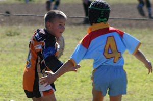 De La Salle Vs Yarrawarra Tigers U 8B's action (Photo's : ourfooty media) 