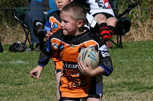 De La Salle Vs Yarrawarra Tigers U 8B's action (Photo's : ourfooty media) 