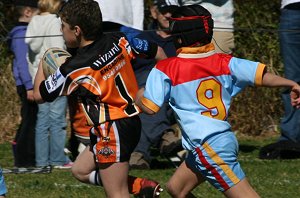 De La Salle Vs Yarrawarra Tigers U 8B's action (Photo's : ourfooty media) 