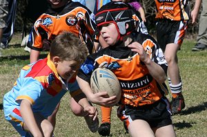 De La Salle Vs Yarrawarra Tigers U 8B's action (Photo's : ourfooty media) 