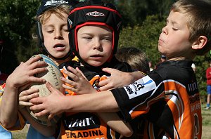 De La Salle Vs Yarrawarra Tigers U 8B's action (Photo's : ourfooty media) 