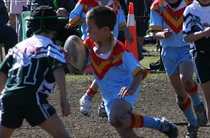 De La Salle Vs Como Crocodiles, Under 9 B's Rnd 18 ( Photo : ourfooty media)