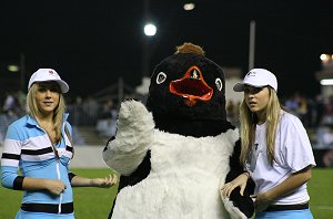 MERMAIDS thrill the Shark Park crowd