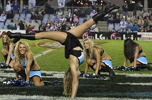 MERMAIDS thrill the Shark Park crowd