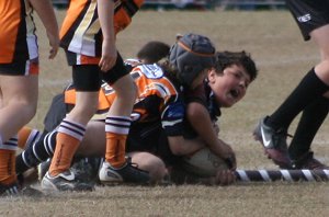 Cronulla Juniors in action on Grand Final Day (Photo's : ourfootymedia)