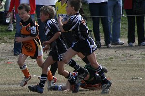 Cronulla Juniors in action on Grand Final Day (Photo's : ourfootymedia)