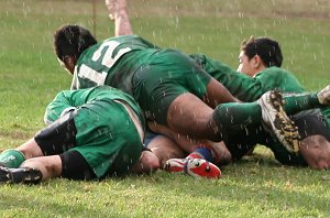 Engadine Dragons v Gymea Gorilla's Rnd 7 aCTioN (Photo's : ourfooty media)