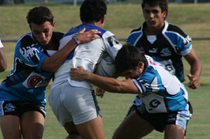 Sharks Matty's Cup trial game ( Photo : ourfooty media)