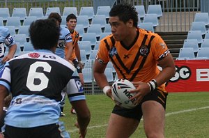 Sharks vs Tigers SG Ball Round 1 (Photo : ourfooty media)