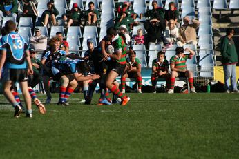 Cronulla SHARKS Academy Under 13's v South Sydney Junior Bunnies @ Shark Park (Photo : OurFootyMedia) 