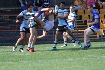 Newtown JETS v Cronulla SHARKS NSW Cup 2nd Half semi final action (Photo : steve monty / OurFootyMedia) 