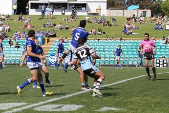 Newtown JETS v Cronulla SHARKS NSW Cup 2nd Half semi final action (Photo : steve monty / OurFootyMedia) 