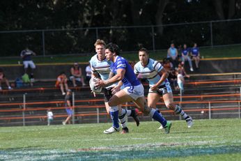 Newtown JETS v Cronulla SHARKS NSW Cup 2nd Half semi final action (Photo : steve monty / OurFootyMedia) 