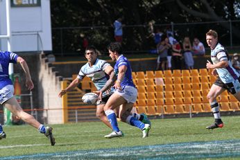 Newtown JETS v Cronulla SHARKS NSW Cup 2nd Half semi final action (Photo : steve monty / OurFootyMedia) 