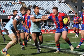 U20s Holden Cup Rnd 18 Cronulla Sharks v Newcastle Knights - action (Photo : steve monty / OurFootyTeam.com)