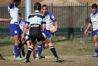 Cronulla SHARKS Academy u14s v Bulldogs Academy u14s (Photo : steve monty / OurFootyTeam.com)