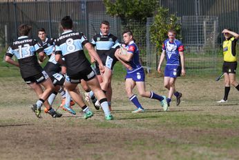 Cronulla SHARKS Academy u15s v Bulldogs Academy u15s (Photo : steve monty / OurFootyTeam.com)