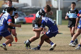 Cronulla SHARKS Academy u15s v Bulldogs Academy u15s (Photo : steve monty / OurFootyTeam.com)