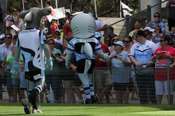 Cronulla - Sutherland SHARKS 2015 NRL Season Launch (Photo : steve montgomery / OurFootyTeam.com)