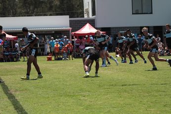 Cronulla Sharks Harold Matthews Cup TRIAL v Newcastle Knights U 16s Action (Photo : steve montgomery / OurFootyTeam.com)
