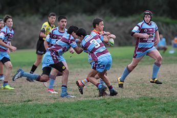 De la Salle v Carlingford Cougars u14s Action (Photo : Steve Montgomery / OurFootyTeam.com)