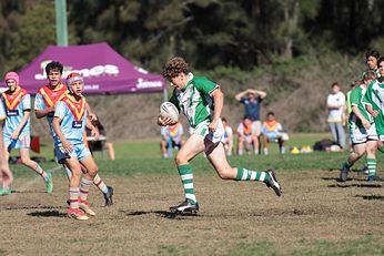 Cronulla Junior League - under 15s SILVER - De la Salle v Paddington ColtsGymea Gorilla's Action (Photo : Steve Montgomery / OurFootyTeam.com)