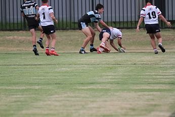 MATTYS Cup TRIAL MATCH Cronulla Sharks V Central Coast ROOSTERS Sat 19 Jan 2019 (Photo : steve montgomery / OurFootyTeam.com)