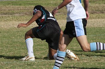 Penrith Panthers Try ( Photo : ourfooty media) 