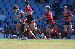 U17's Sharks vs Nth Sydney Bears Development game  ( Picture : ourfooty media )