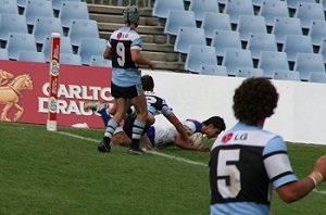 Bulldogs Vs Sharks