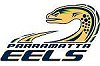 Parramatta Eels Junior Rugby League