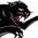 Penrith Panthers Junior League