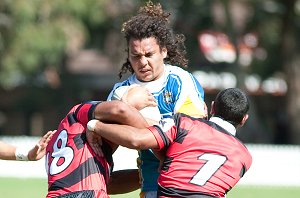 North Sydney Bears v Gold Coast Titan's Rnd 4 SG BALL Cup ACTioN (Photo's : pTago / ourfooty media)