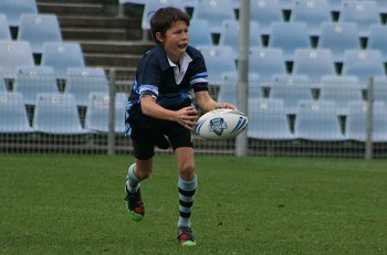 NSWPSSA CLASSIC SHIELD Grand Final Action Muswellbrook PS v Sth Wagga PS @ Shark Park (Photo : ourfootymedia)