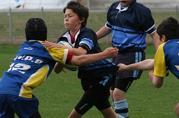 NSWPSSA CLASSIC SHIELD Grand Final Action Muswellbrook PS v Sth Wagga PS @ Shark Park (Photo : ourfootymedia)
