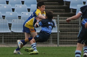 NSWPSSA CLASSIC SHIELD Grand Final Action Muswellbrook PS v Sth Wagga PS @ Shark Park (Photo : ourfootymedia)