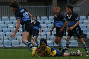 NSWPSSA CLASSIC SHIELD Grand Final Action Muswellbrook PS v Sth Wagga PS @ Shark Park (Photo : ourfootymedia)