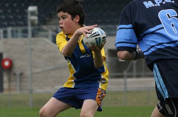 NSWPSSA CLASSIC SHIELD Grand Final Action Muswellbrook PS v Sth Wagga PS @ Shark Park (Photo : ourfootymedia)
