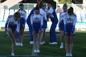 THE HILLS SHS CHEER LEADERS @ SHARK PARK (Photo : ourfootymedia) 