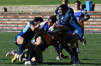 ARL SchoolBoys Cup Matraville SHS v Patrician Brothers action (photo's : ourfootymedia)