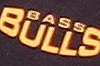 Bass High School rugby league