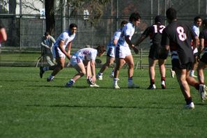 The Hills SHS v Endeavour in combined ARL Schoolboys Cup & Uni Shield match (Photo's : OurFootyMedia) 