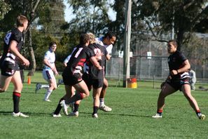 The Hills SHS v Endeavour in combined ARL Schoolboys Cup & Uni Shield match (Photo's : OurFootyMedia) 