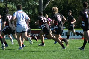 The Hills SHS v Endeavour in combined ARL Schoolboys Cup & Uni Shield match (Photo's : OurFootyMedia) 