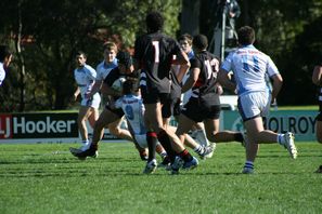 The Hills SHS v Endeavour in combined ARL Schoolboys Cup & Uni Shield match (Photo's : OurFootyMedia) 