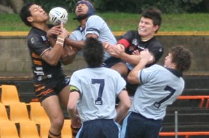 NSW CCC U 18's Vs Tiger Cubs @ Leichhardt Oval (Photo : ourfooty media) 