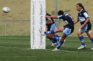 Buckley Shield Grand Final - Westfields SHS Vs Matraville SHS ( Photo : ourfooty media)