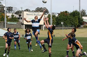 Buckley Shield Grand Final - Westfields SHS Vs Matraville SHS ( Photo : ourfooty media)