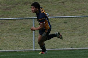 Buckley Shield Grand Final - Westfields SHS Vs Matraville SHS ( Photo : ourfooty media)